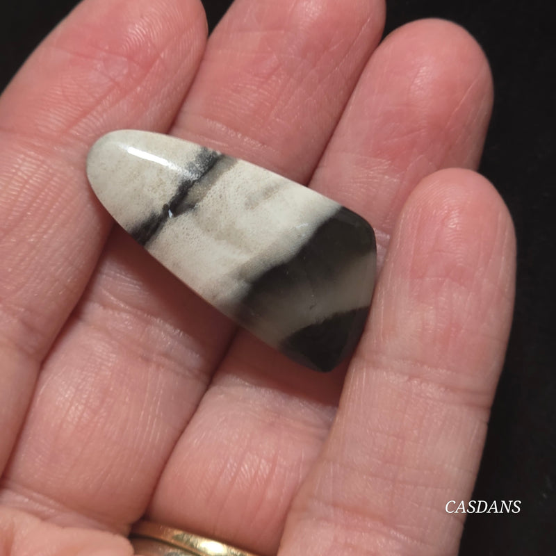 Petrified Wood Cabochon