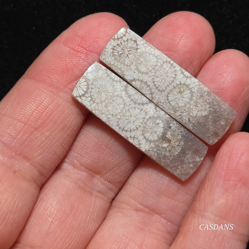 Coral Fossil Cabochon Pair