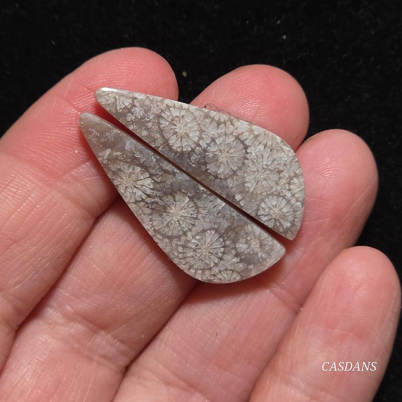 Coral Fossil Cabochon Pair