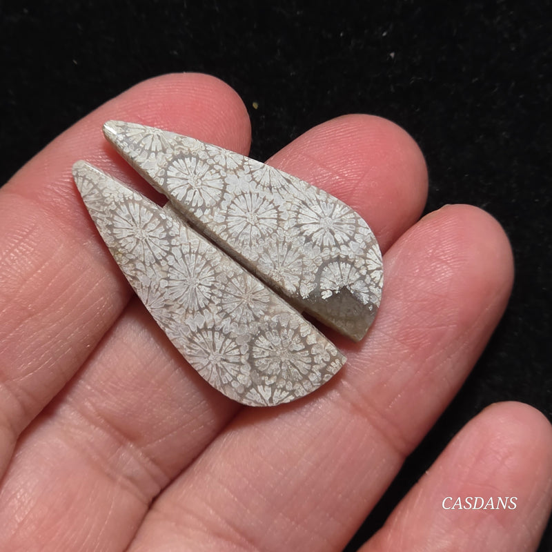 Coral Fossil Cabochon Pair