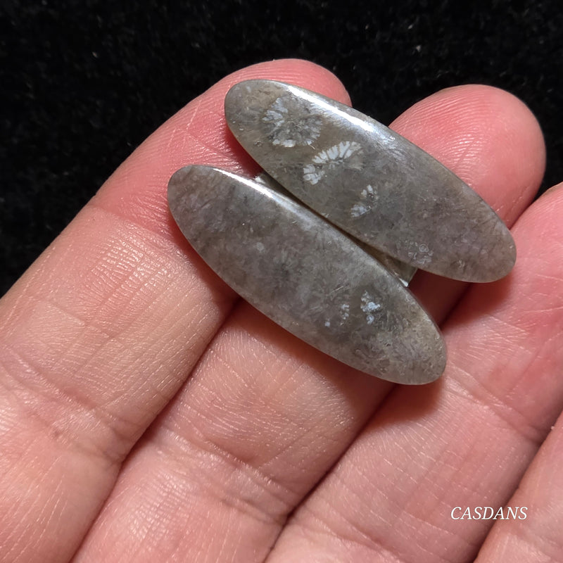 Coral Fossil Cabochon Pair