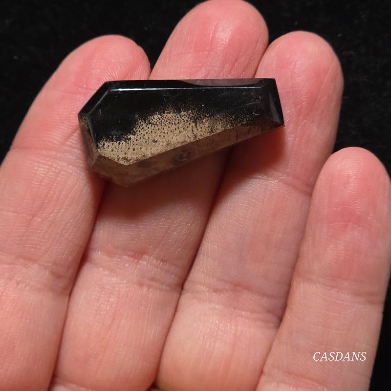 Petrified Palmroot Coffin