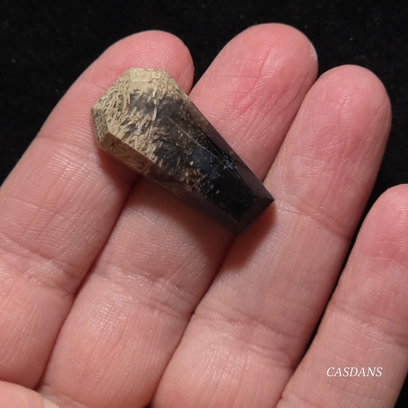 Petrified Palmroot Coffin