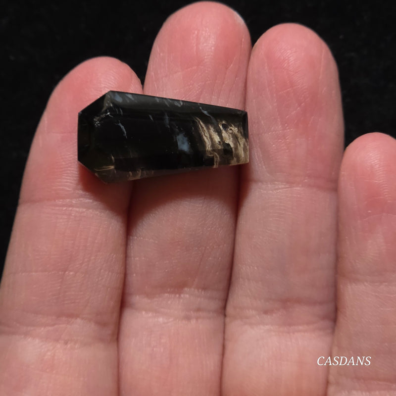 Petrified Palmroot Coffin