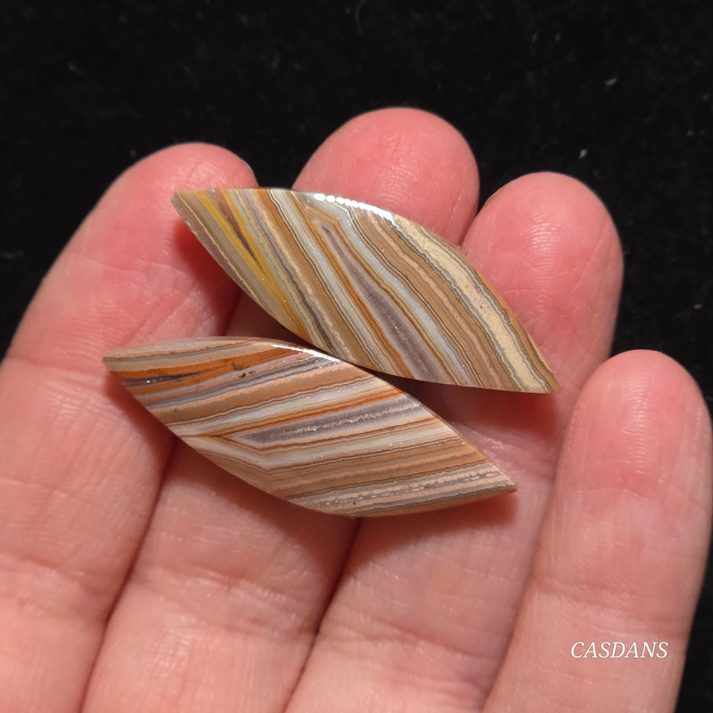 Lace Agate Cabochon Pair