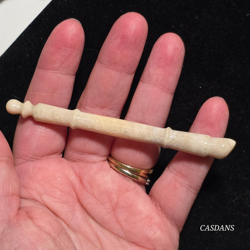 Coral Fossil Paintbrush Carving