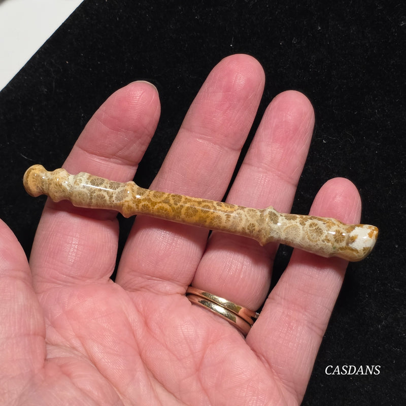 Coral Fossil Paintbrush Carving
