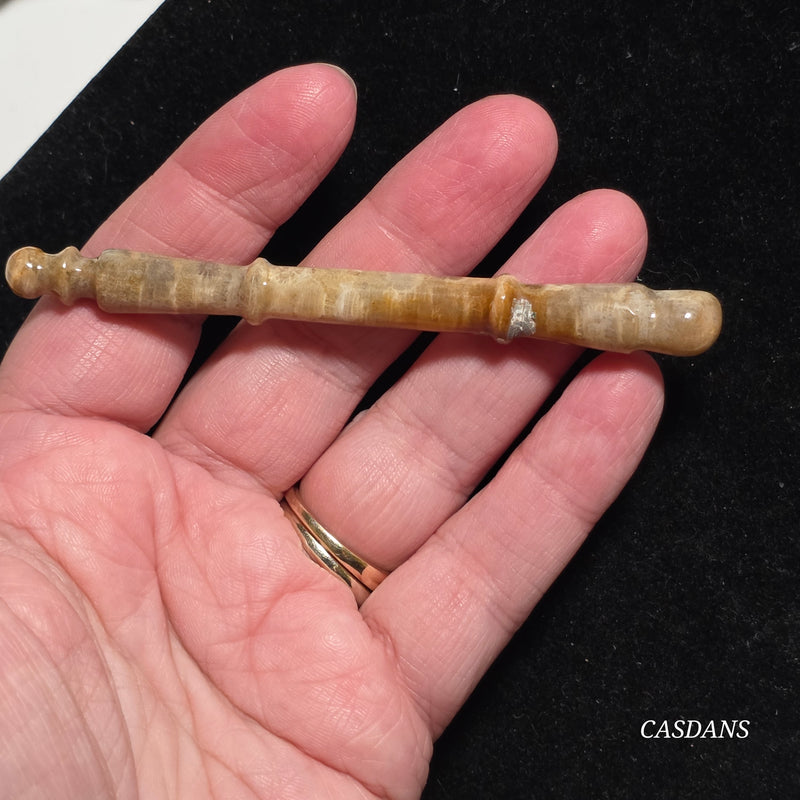 Coral Fossil Paintbrush Carving