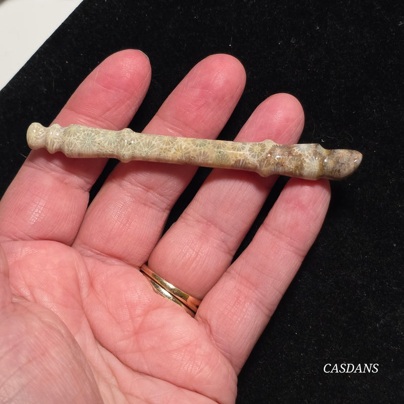 Coral Fossil Paintbrush Carving