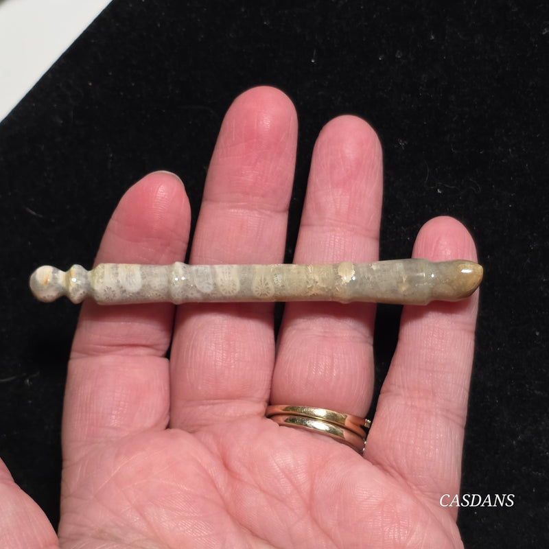 Coral Fossil Paintbrush Carving