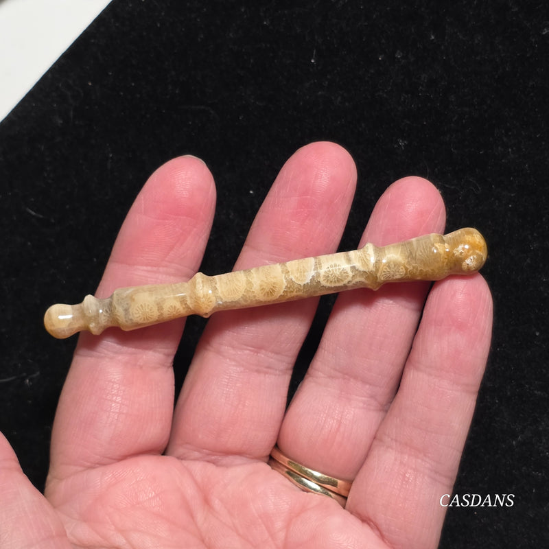 Coral Fossil Paintbrush Carving