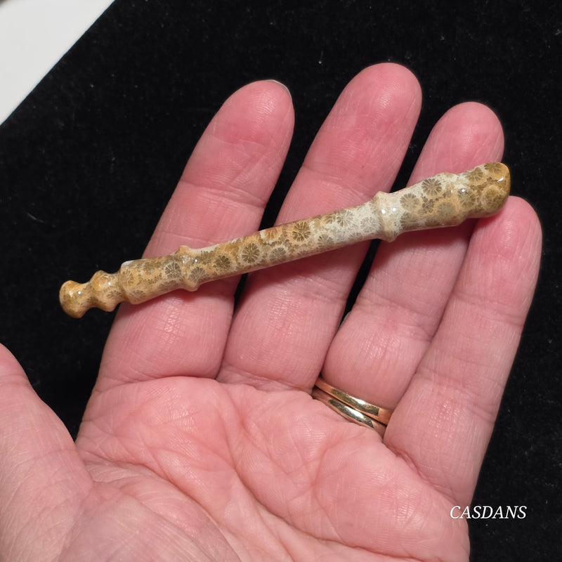Coral Fossil Paintbrush Carving