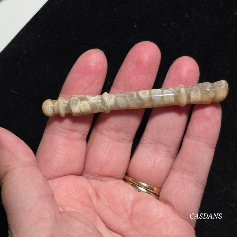 Coral Fossil Paintbrush Carving