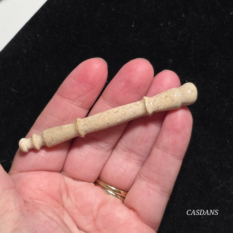 Coral Fossil Paintbrush Carving
