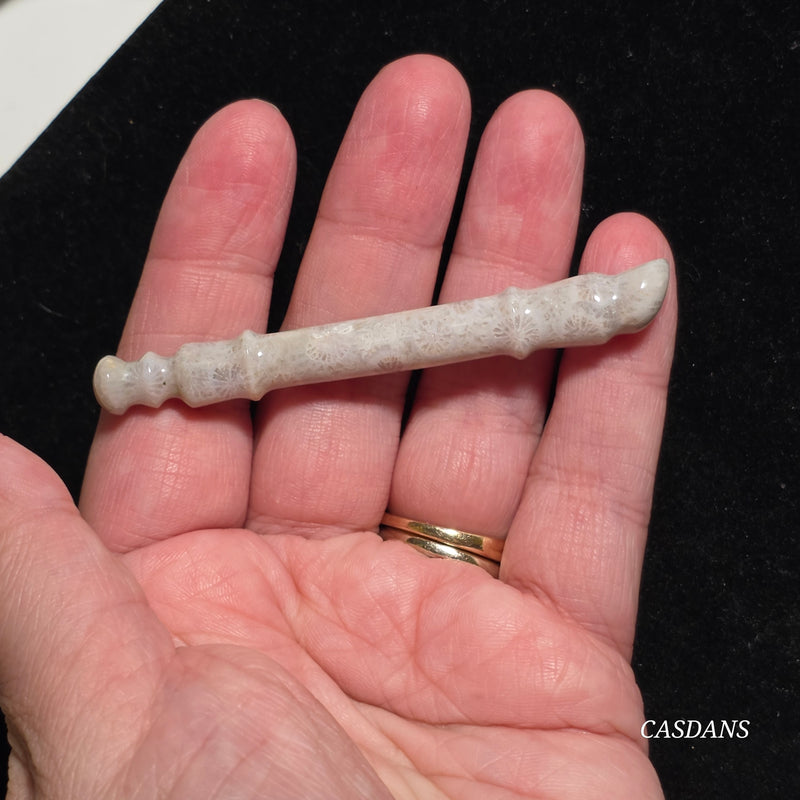 Coral Fossil Paintbrush Carving