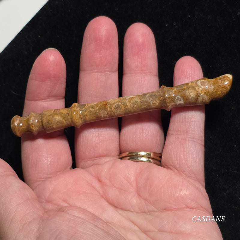 Coral Fossil Paintbrush Carving