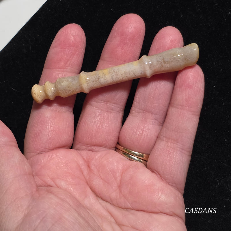 Coral Fossil Paintbrush Carving