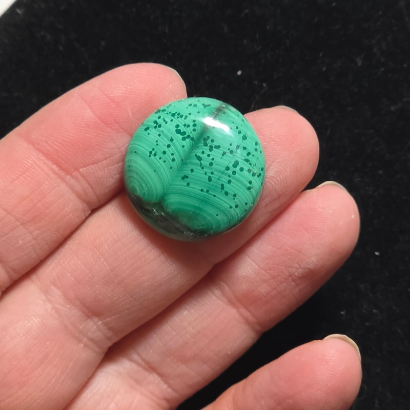 Malachite Cabochon
