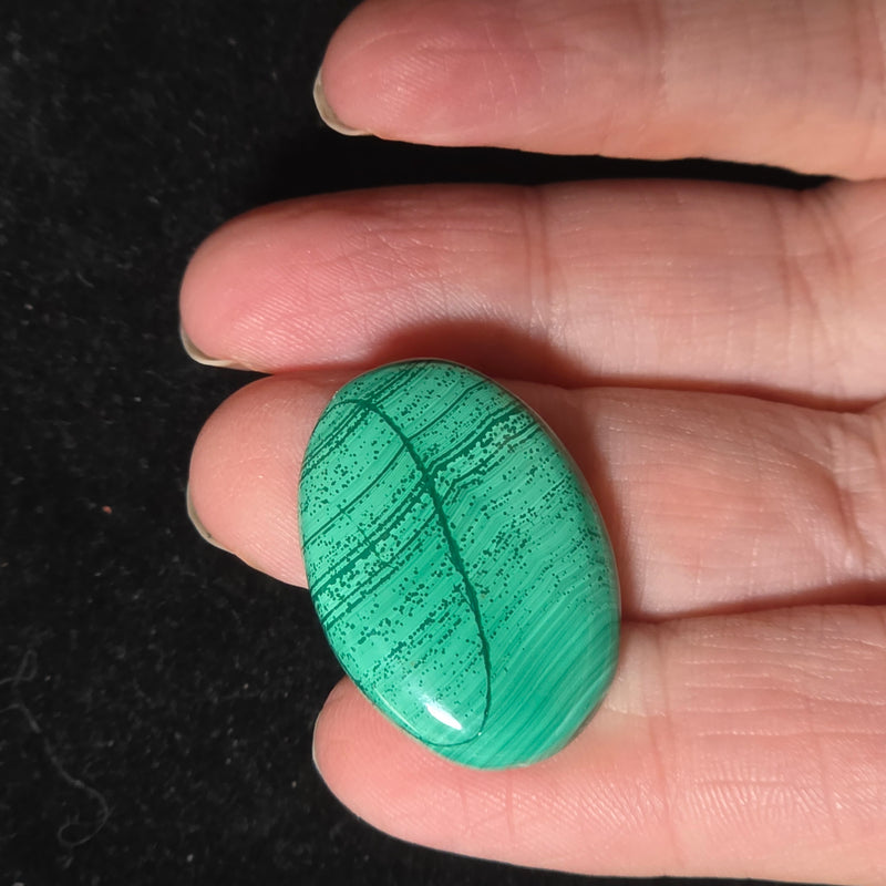 Malachite Cabochon