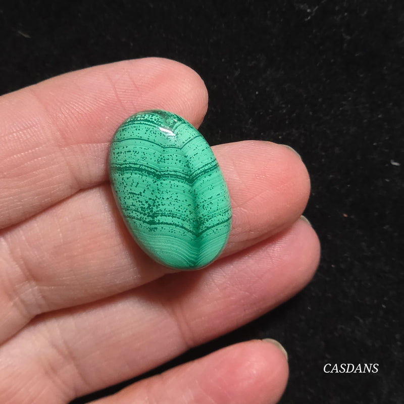 Malachite Cabochon