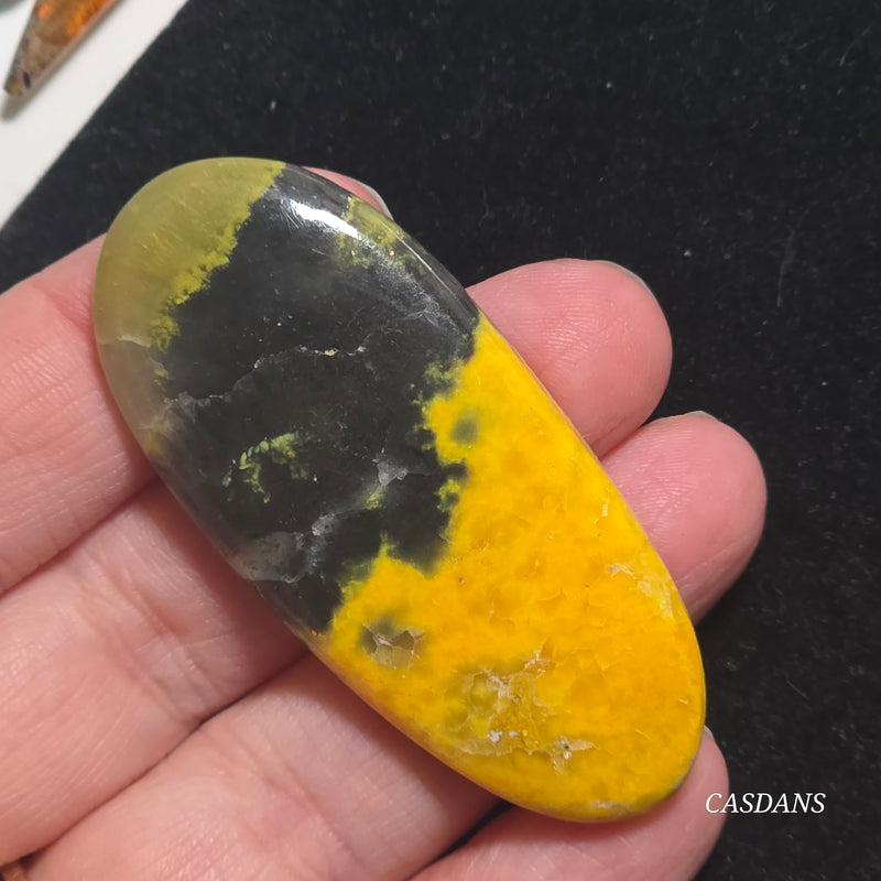 Bumblebee Jasper Cabochon