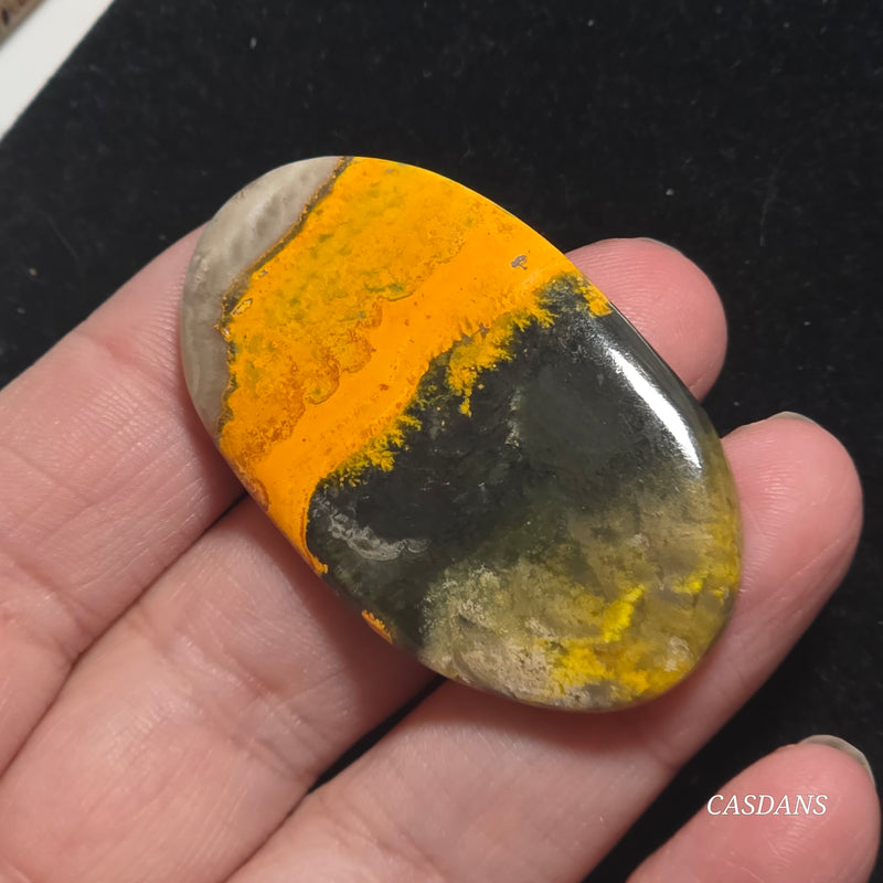 Bumblebee Jasper Cabochon