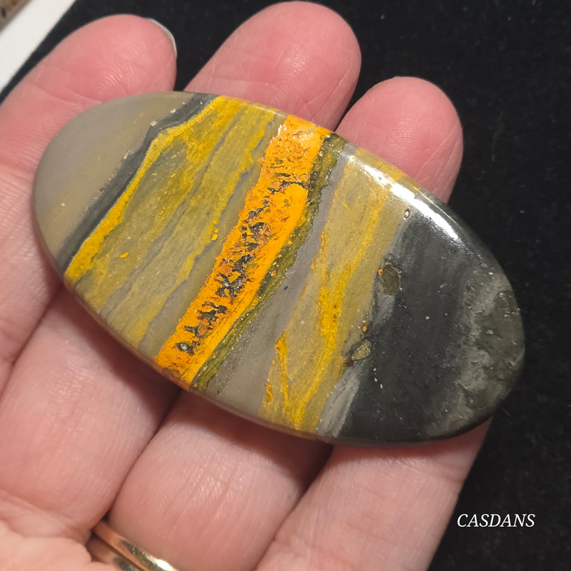 Bumblebee Jasper Cabochon