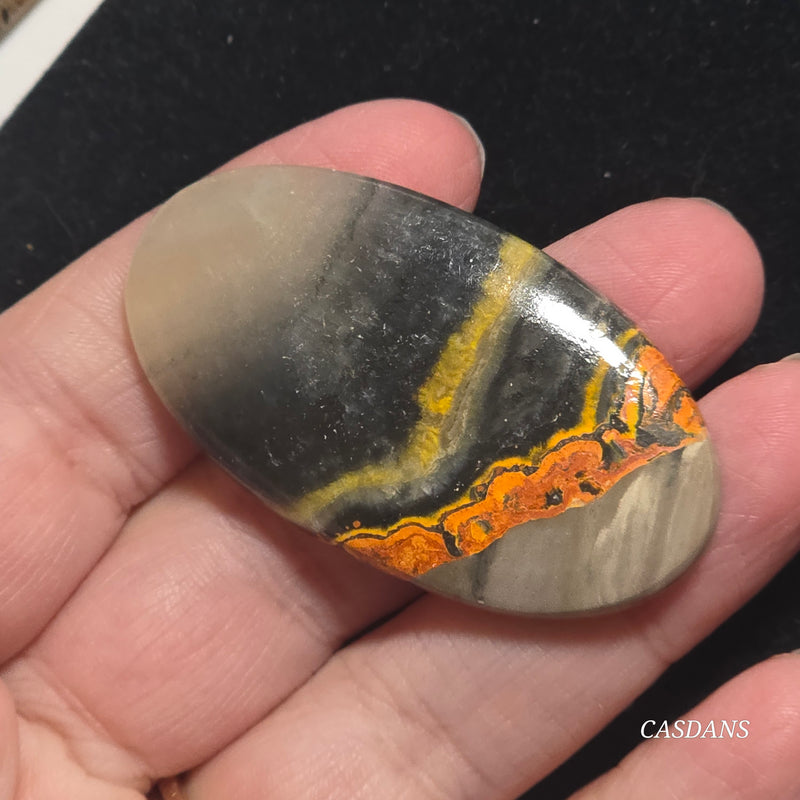 Bumblebee Jasper Cabochon