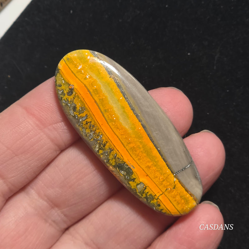 Bumblebee Jasper Cabochon