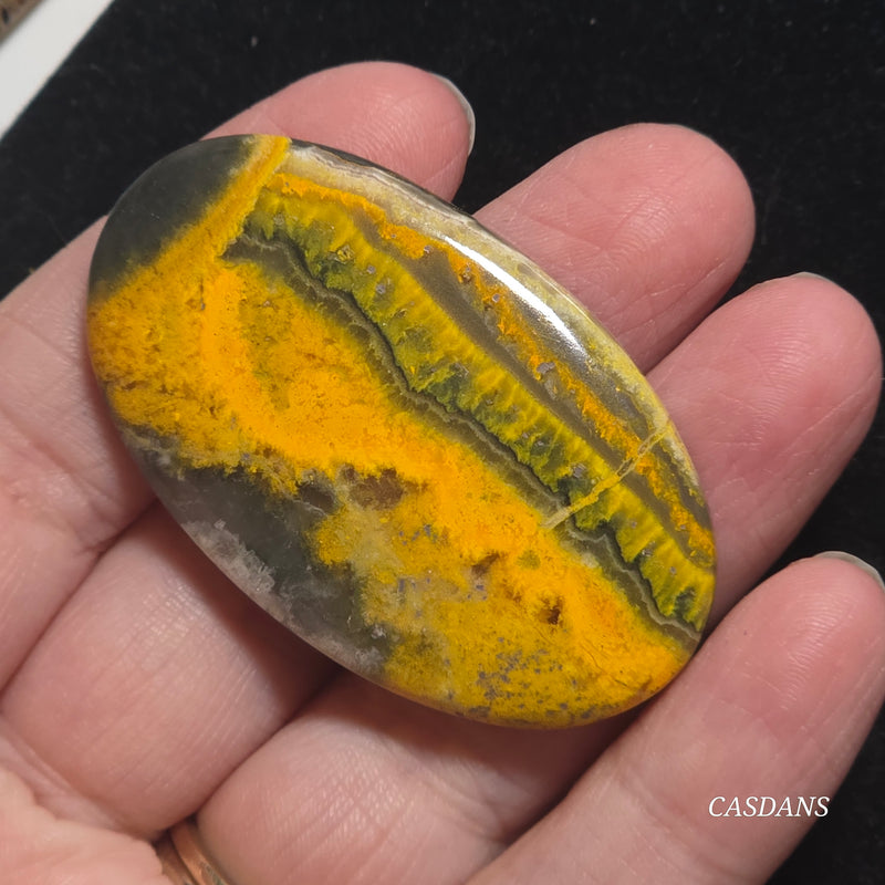 Bumblebee Jasper Cabochon