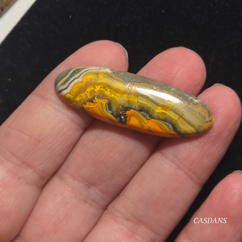 Bumblebee Jasper Cabochon