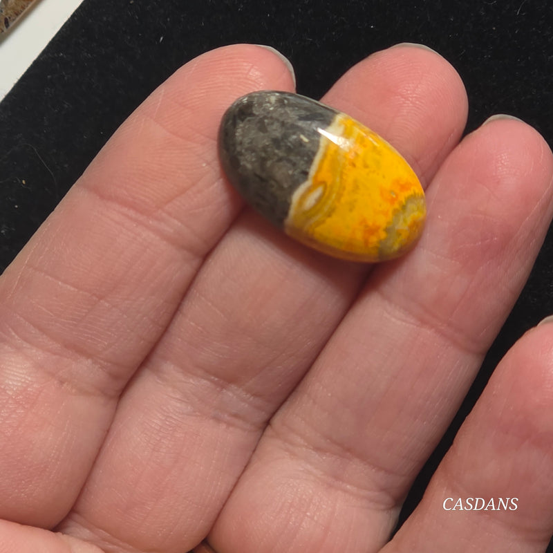 Bumblebee Jasper Cabochon