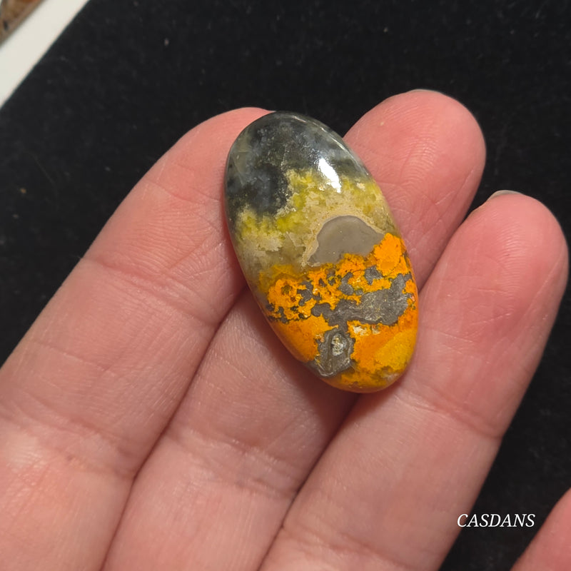 Bumblebee Jasper Cabochon