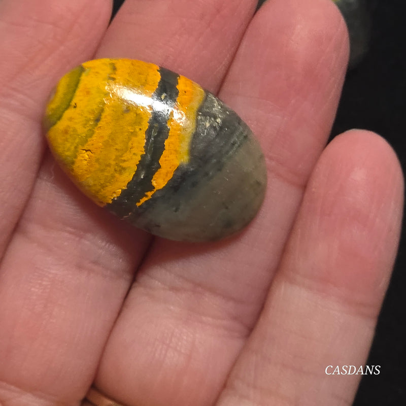 Bumblebee Jasper Cabochon