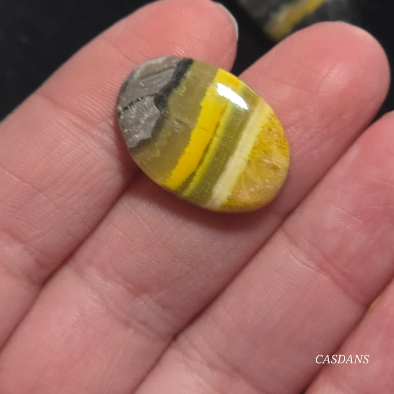 Bumblebee Jasper Cabochon