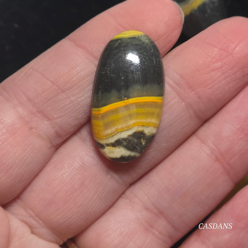 Bumblebee Jasper Cabochon