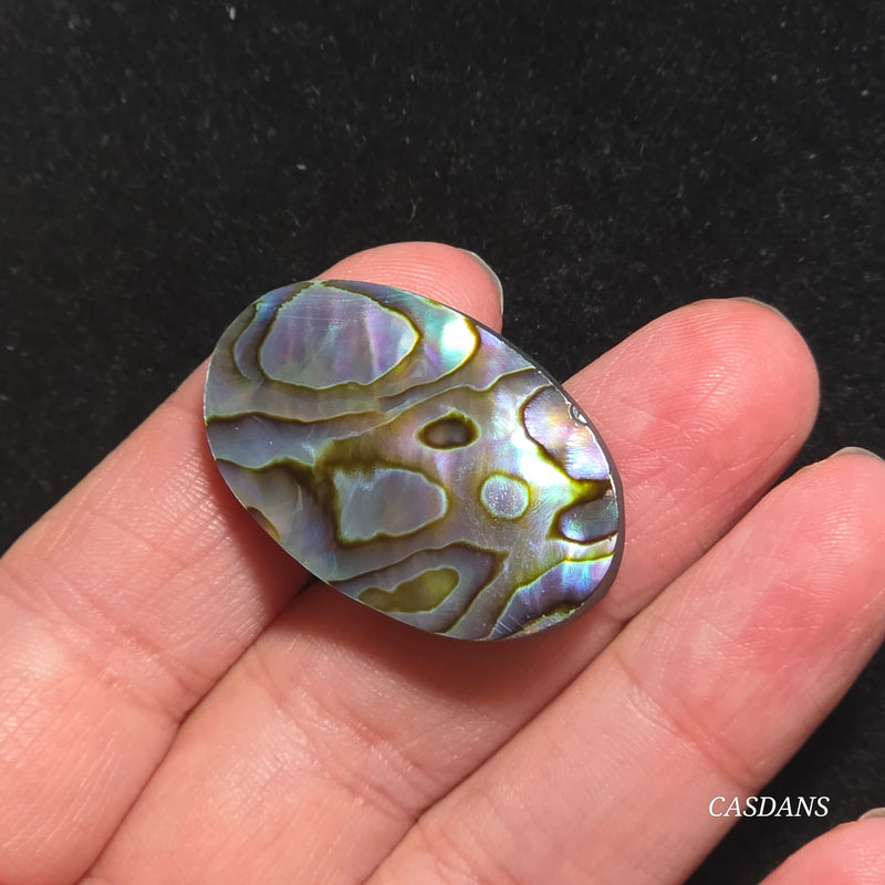 Abalone Shell Cabochon