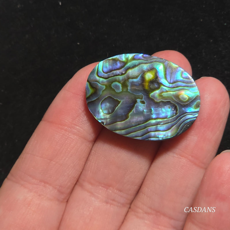Abalone Shell Cabochon