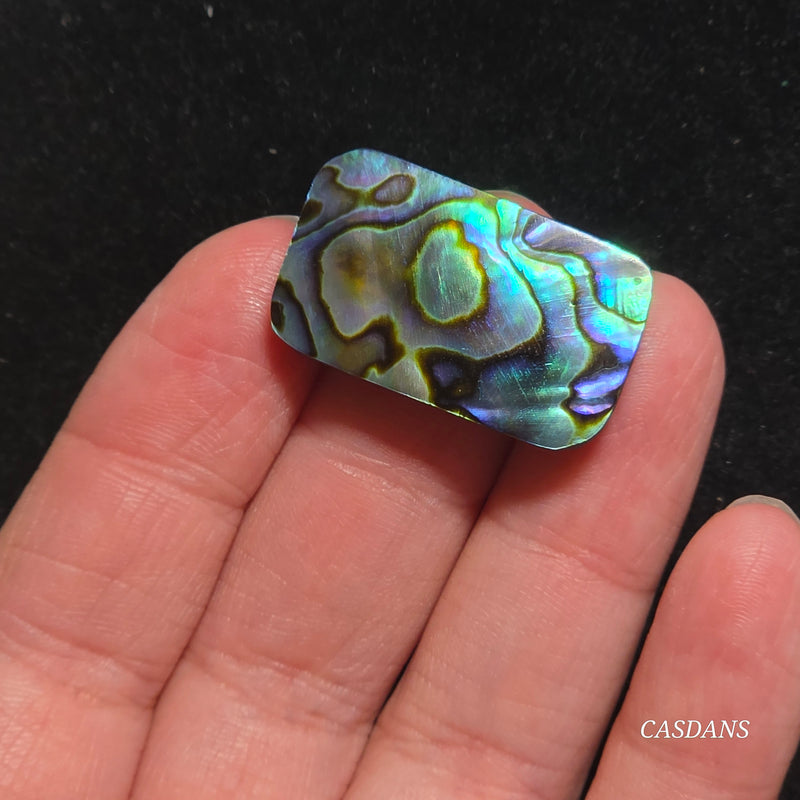 Abalone Shell Cabochon