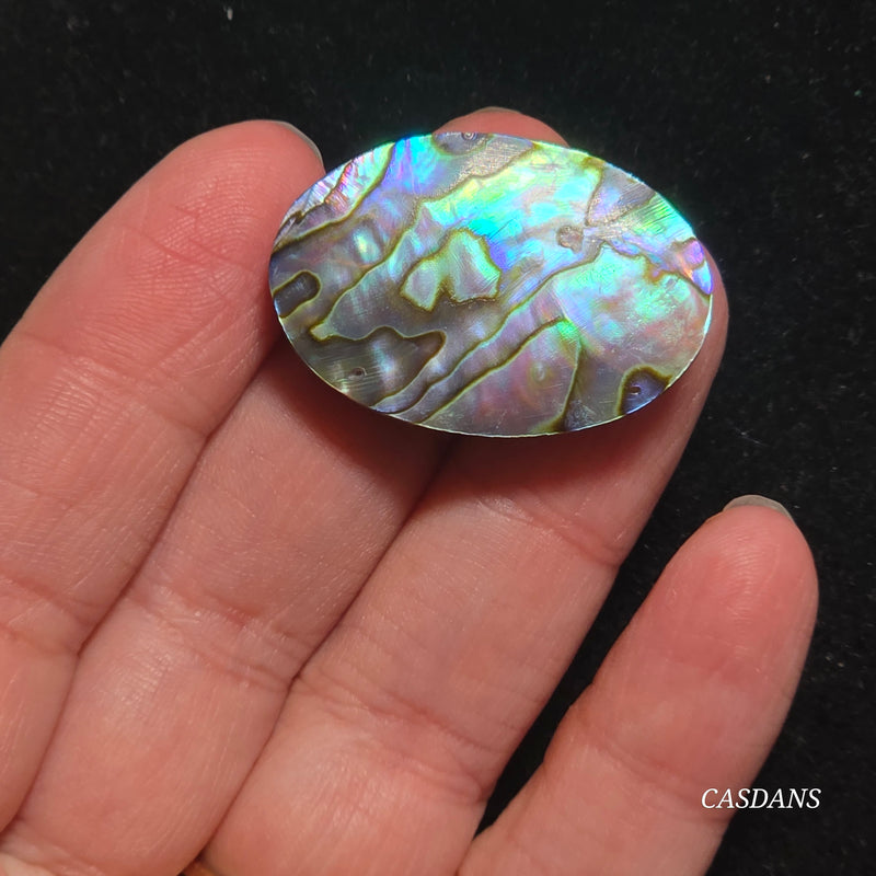 Abalone Shell Cabochon