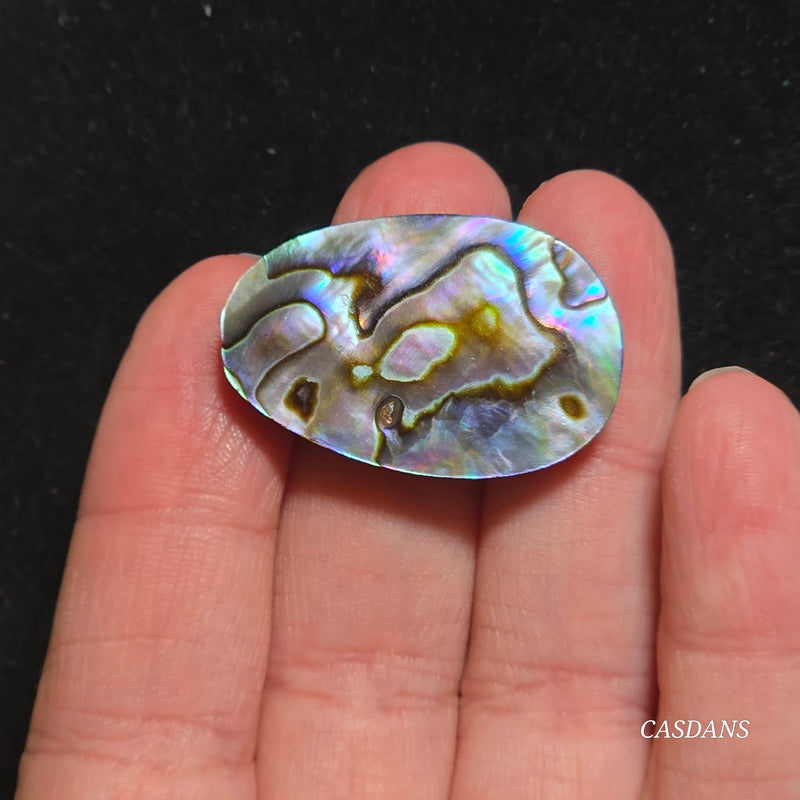Abalone Shell Cabochon