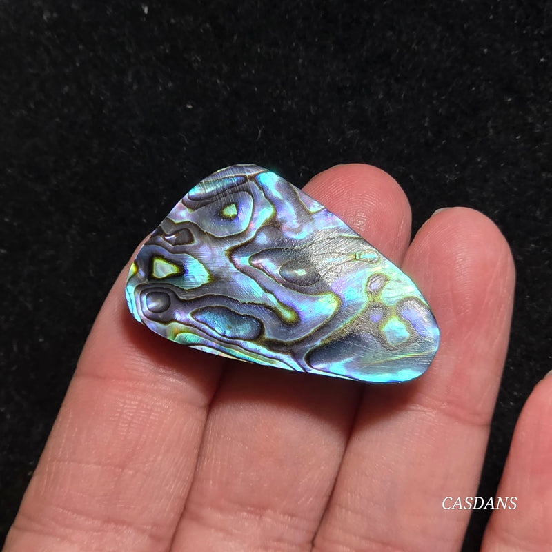 Abalone Shell Cabochon