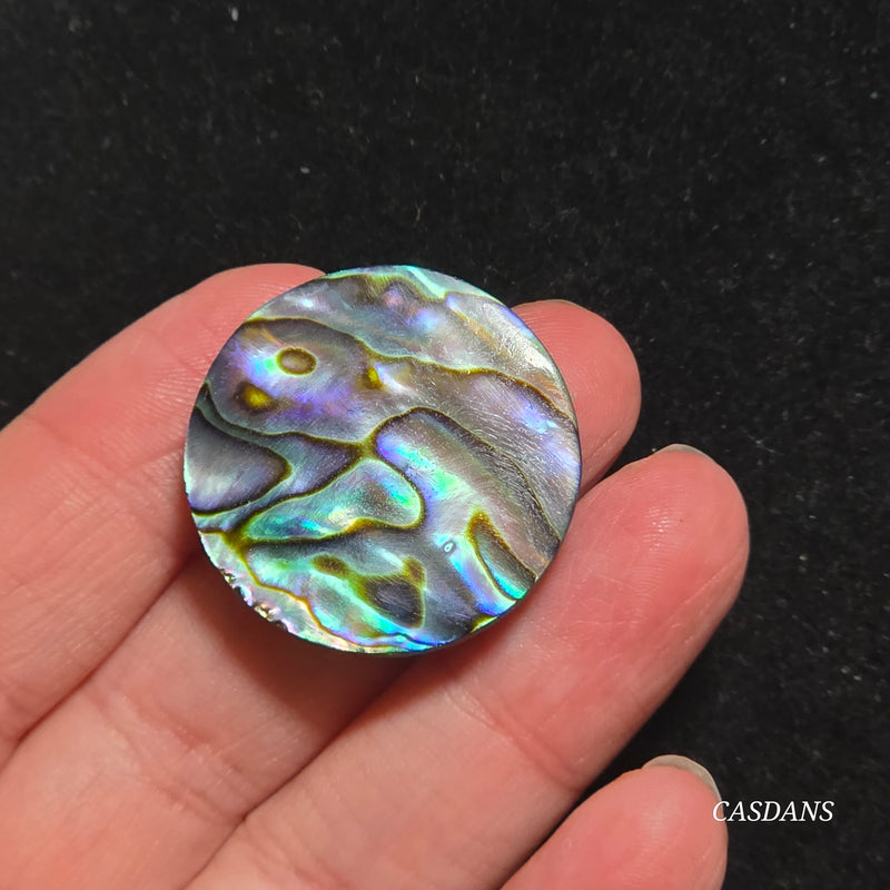 Abalone Shell Cabochon