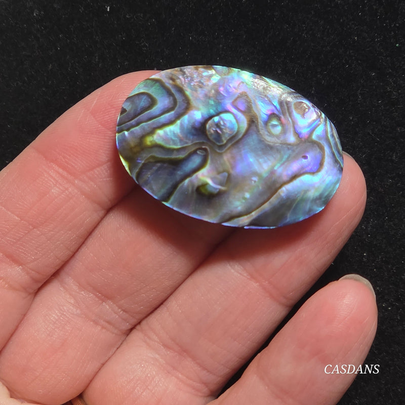Abalone Shell Cabochon