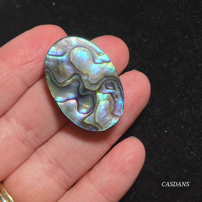 Abalone Shell Cabochon