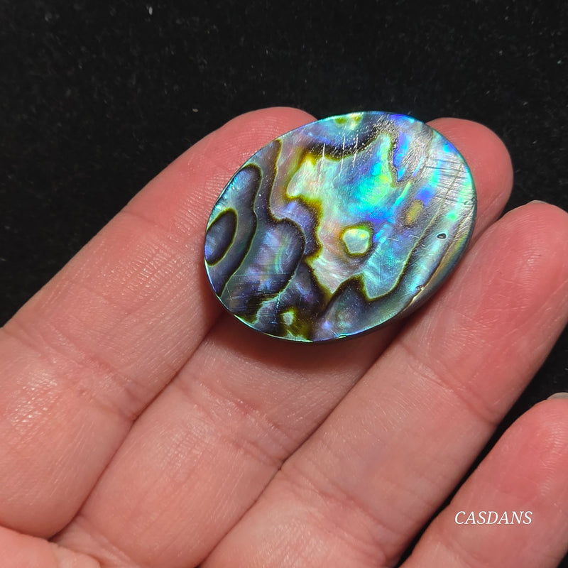 Abalone Shell Cabochon