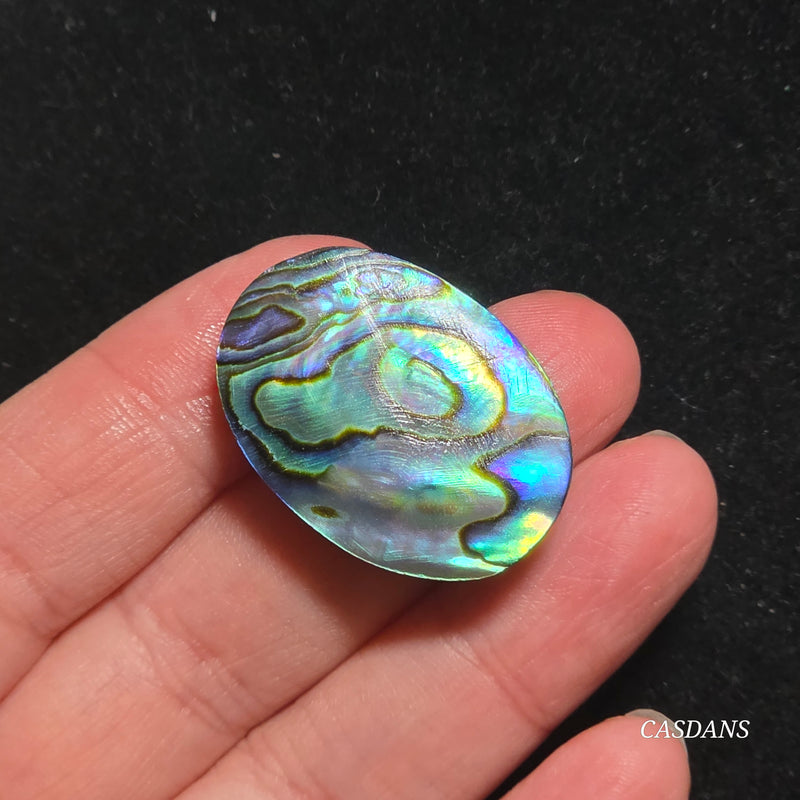 Abalone Shell Cabochon