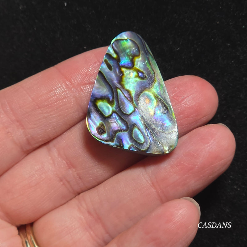 Abalone Shell Cabochon