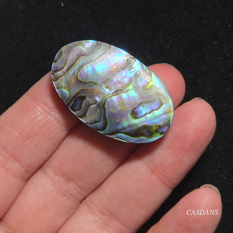 Abalone Shell Cabochon
