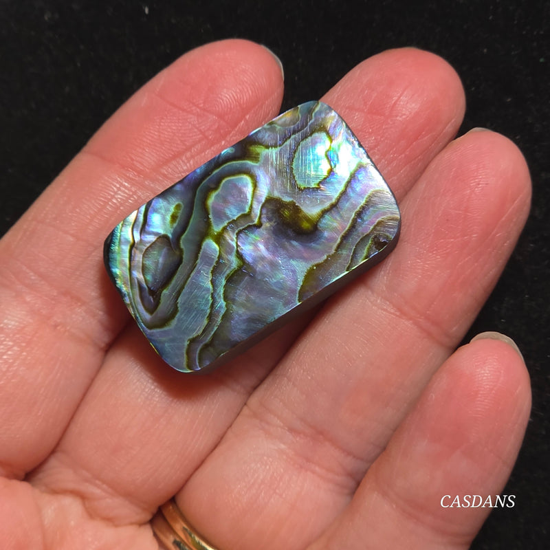 Abalone Shell Cabochon